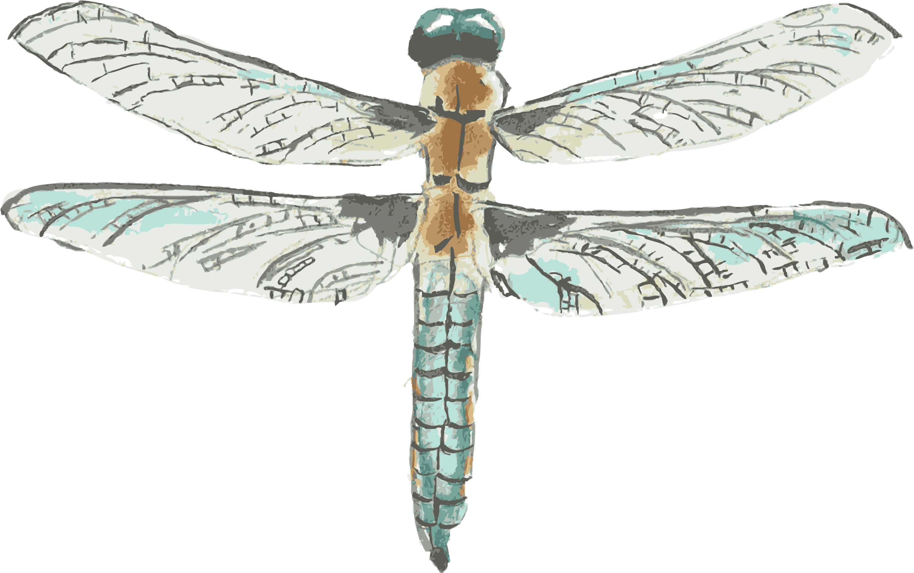 Dragonfly Transparent Flower Drawing - Ailes Libellule Png (2000x2000), Png Download