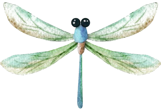 Watercolor Painting Icon Transprent - Dragonfly Painting Insects Watercolor Png (564x564), Png Download