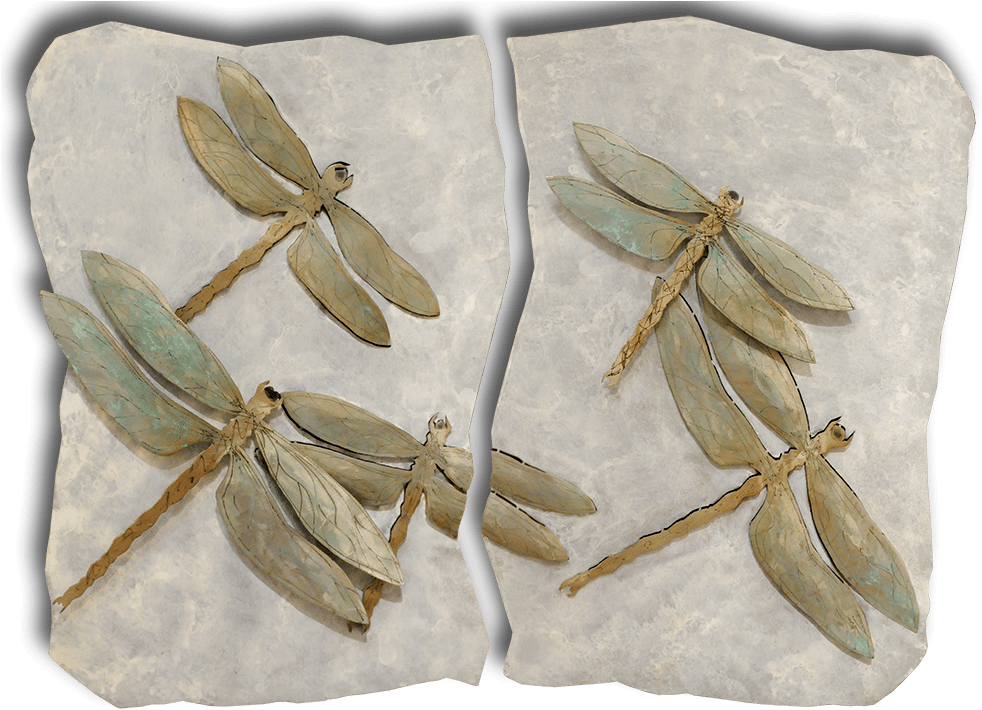 Brent & Luke Lawrence Dragonfly Diptych Exposures International - Diptych (1000x730), Png Download