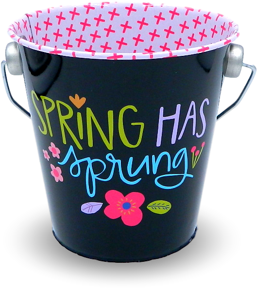 Metal Flower Pot Pail - Target Metal Flower Pot Pail - Spring Has Sprung (644x644), Png Download