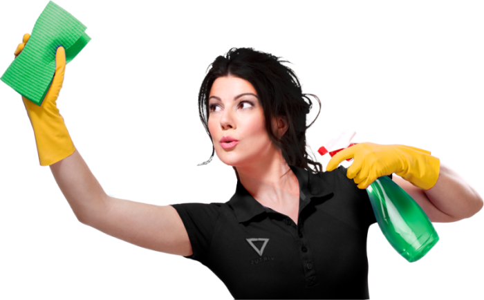 Cleaning Lady Germ Busters - Mujer De Limpieza (500x310), Png Download