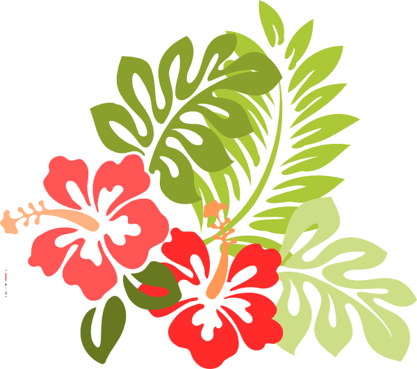 Tropical - Hawaiian Flower Throw Blanket (600x531), Png Download