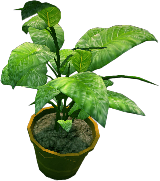 Potted Plants Png Top View - Potted Plant Png Transparent (557x630), Png Download