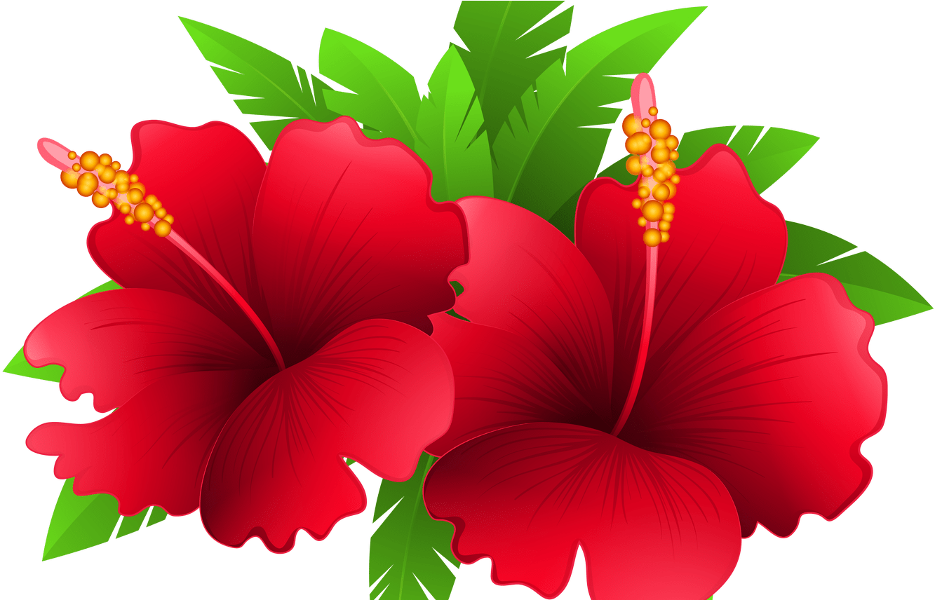 Exotic Flowers And Plant Png Clipart Image Gallery - Good Morning Happy Independence Day (1368x855), Png Download