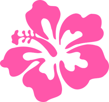 Hibiscus Pink Tropical Flower Floral Bloom - Hawaiian Flowers Transparent Background (364x340), Png Download