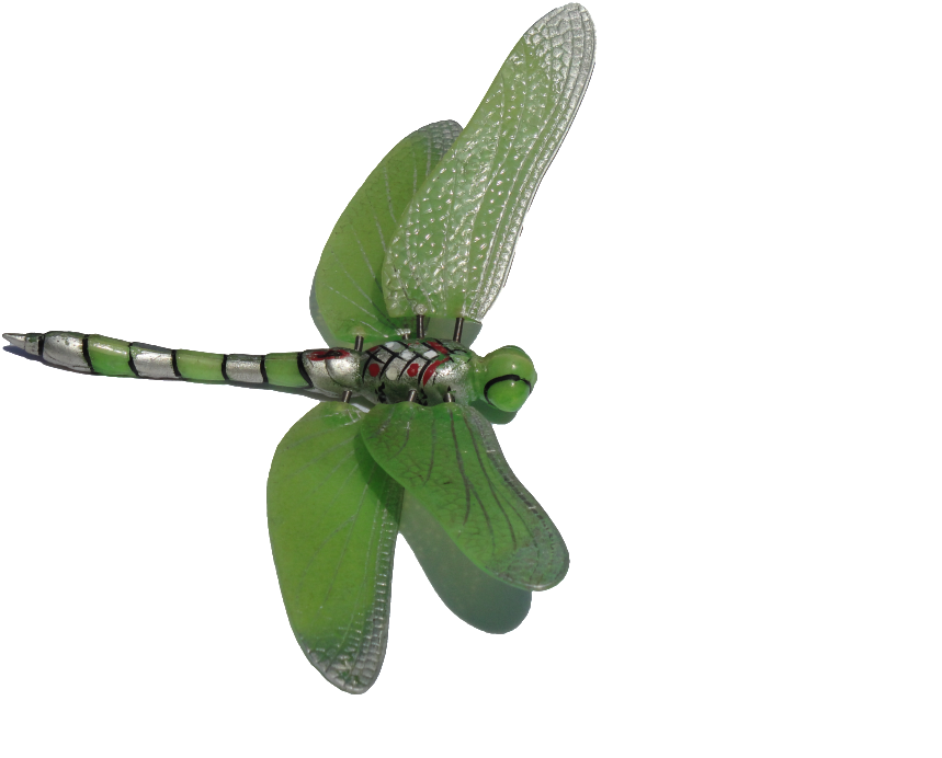 Dragonfly Clipart Transparent Background (1024x768), Png Download