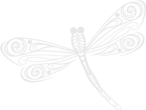 She Is Assertive, Fun And Outgoing - Dragonfly (500x382), Png Download