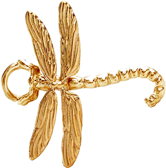 Dragonfly Topper - Dragonfly (360x360), Png Download