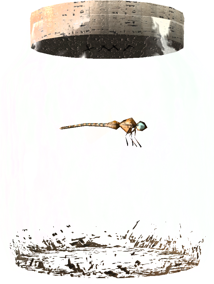 Tesv Dragonfly In A Jar Crop - Biene Im Glas (944x944), Png Download