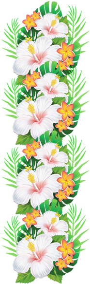 Hibiscus - Clipart Png Flowers Decoration Png (203x600), Png Download