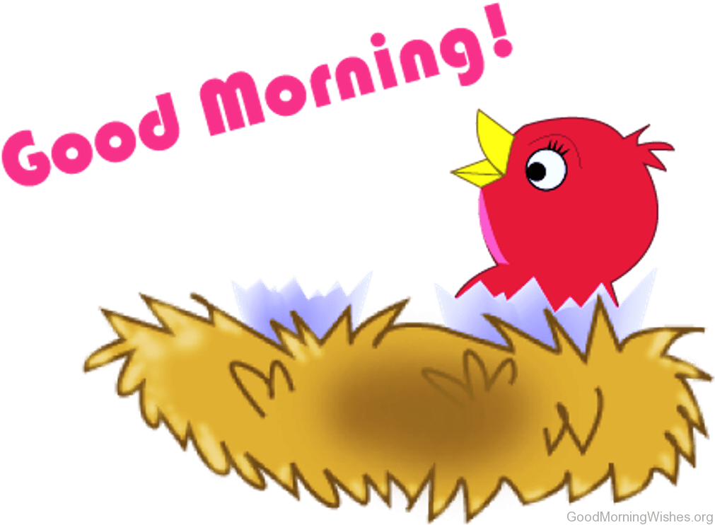 Png Gif Good Morning Sunday (1024x764), Png Download