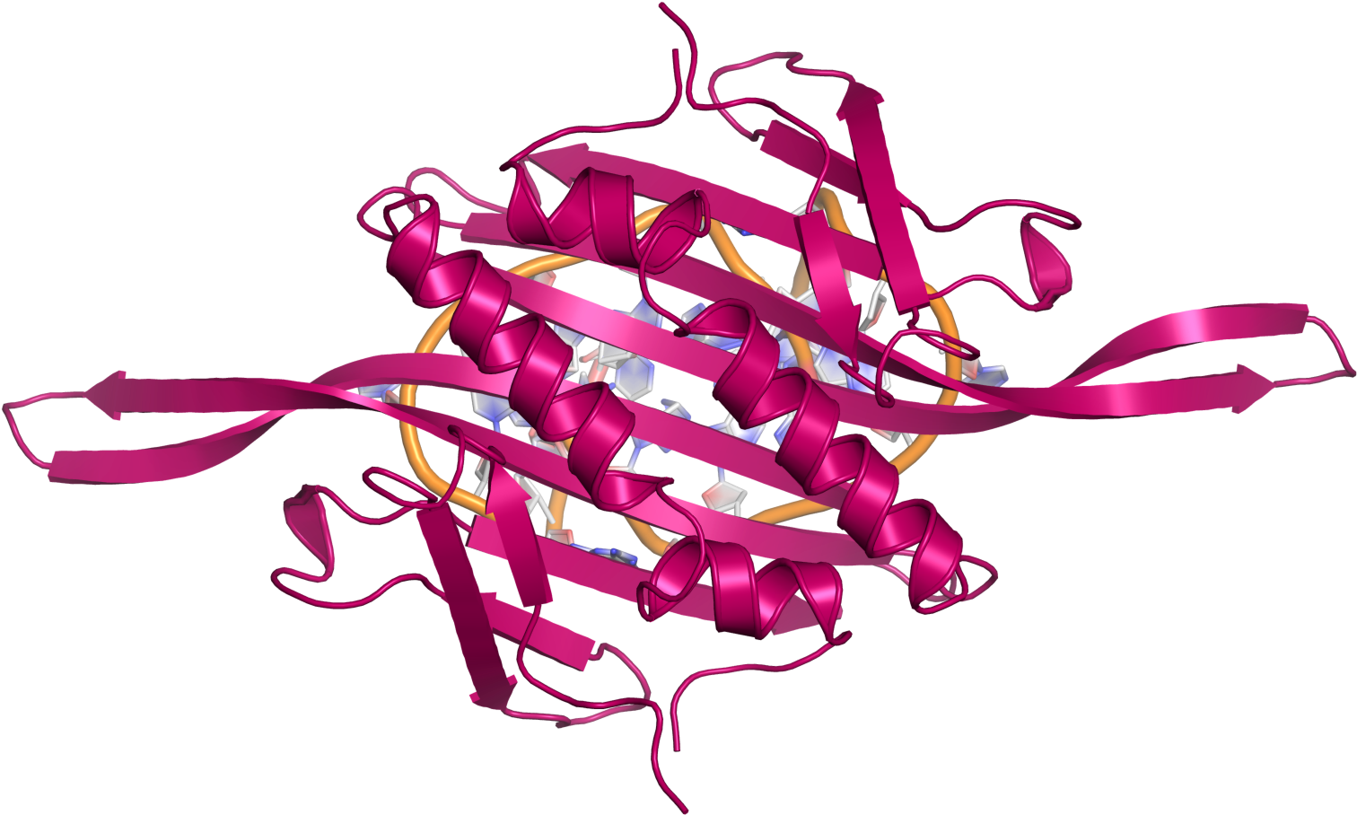Ms2 Ccdimer Rna Topview - Rna (1600x1600), Png Download