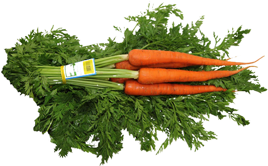 Carrots - Vegetables Top View Png (645x300), Png Download