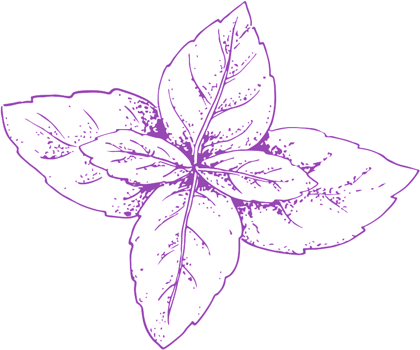 Hand Drawn Vegetables Transparent Vegetables - Sketch (1024x1024), Png Download