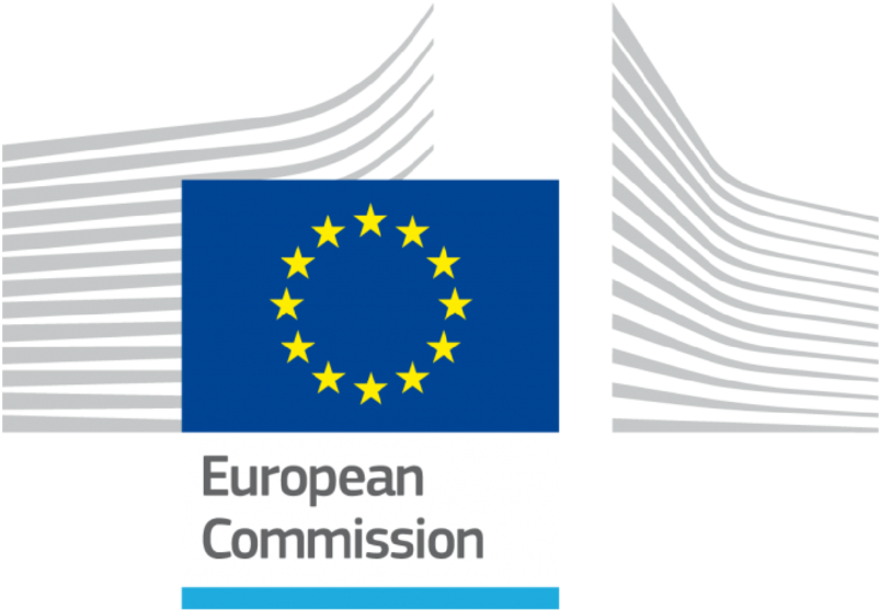 Nwl Logos-03 - European Commission Logo Png (1000x1000), Png Download