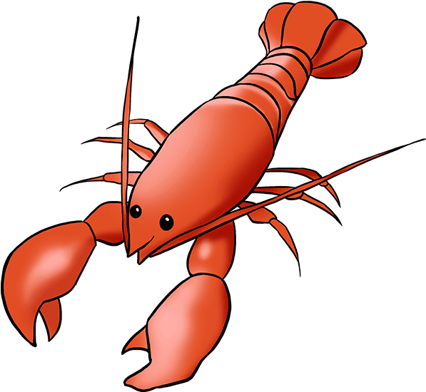 How To Draw Lobster - Drawing (680x678), Png Download