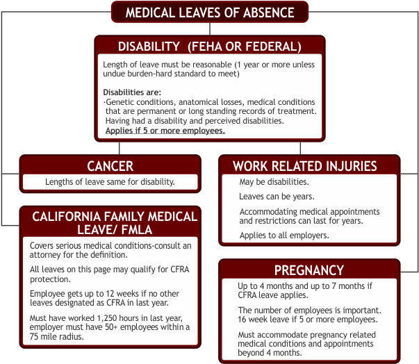Don't Be Caught In A Bind Assuming Only One Leave Law - Types Of Leaves For Employees (616x529), Png Download