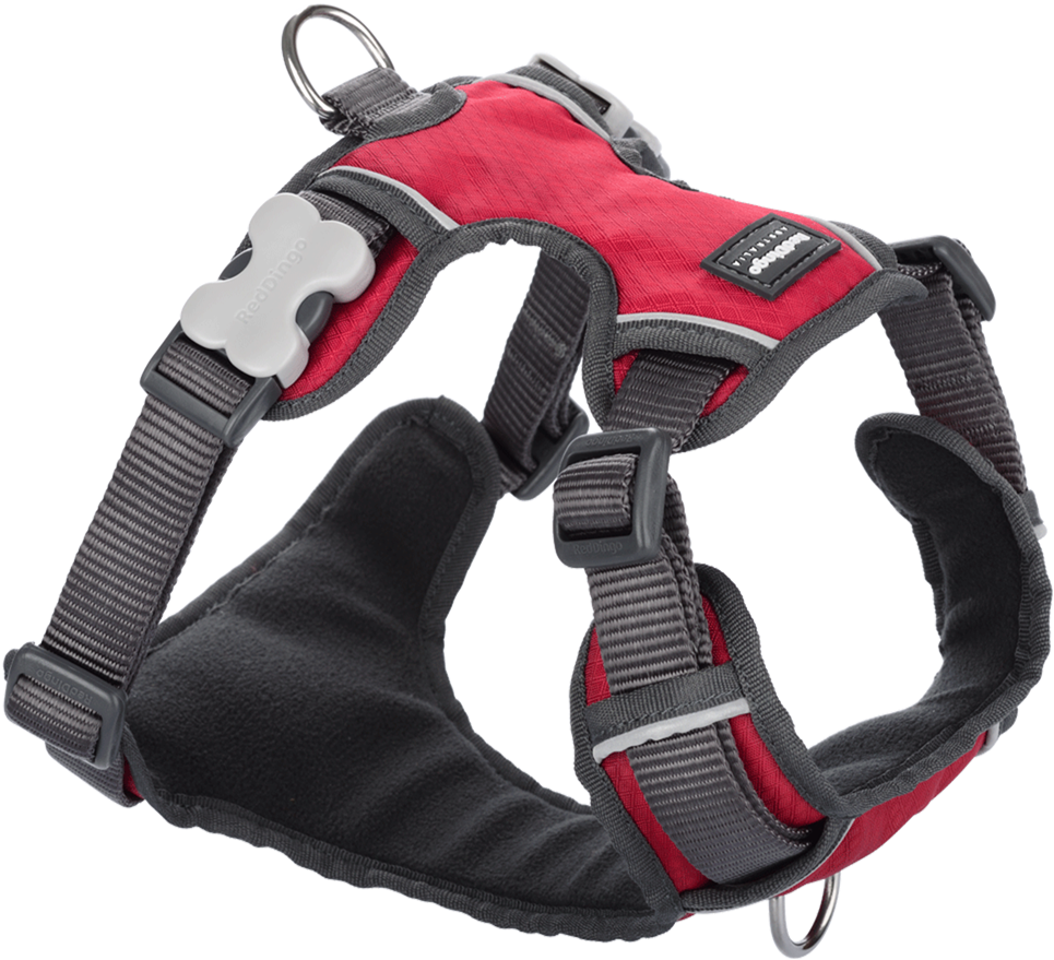 Pet Shop In The East - Climbing Harness (1000x1000), Png Download