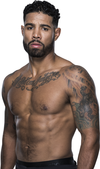 Biography - Mixed Martial Arts (460x700), Png Download