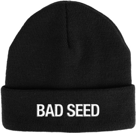 Bad Seed Embroidered Beanie - Czapka - Speedy (600x600), Png Download