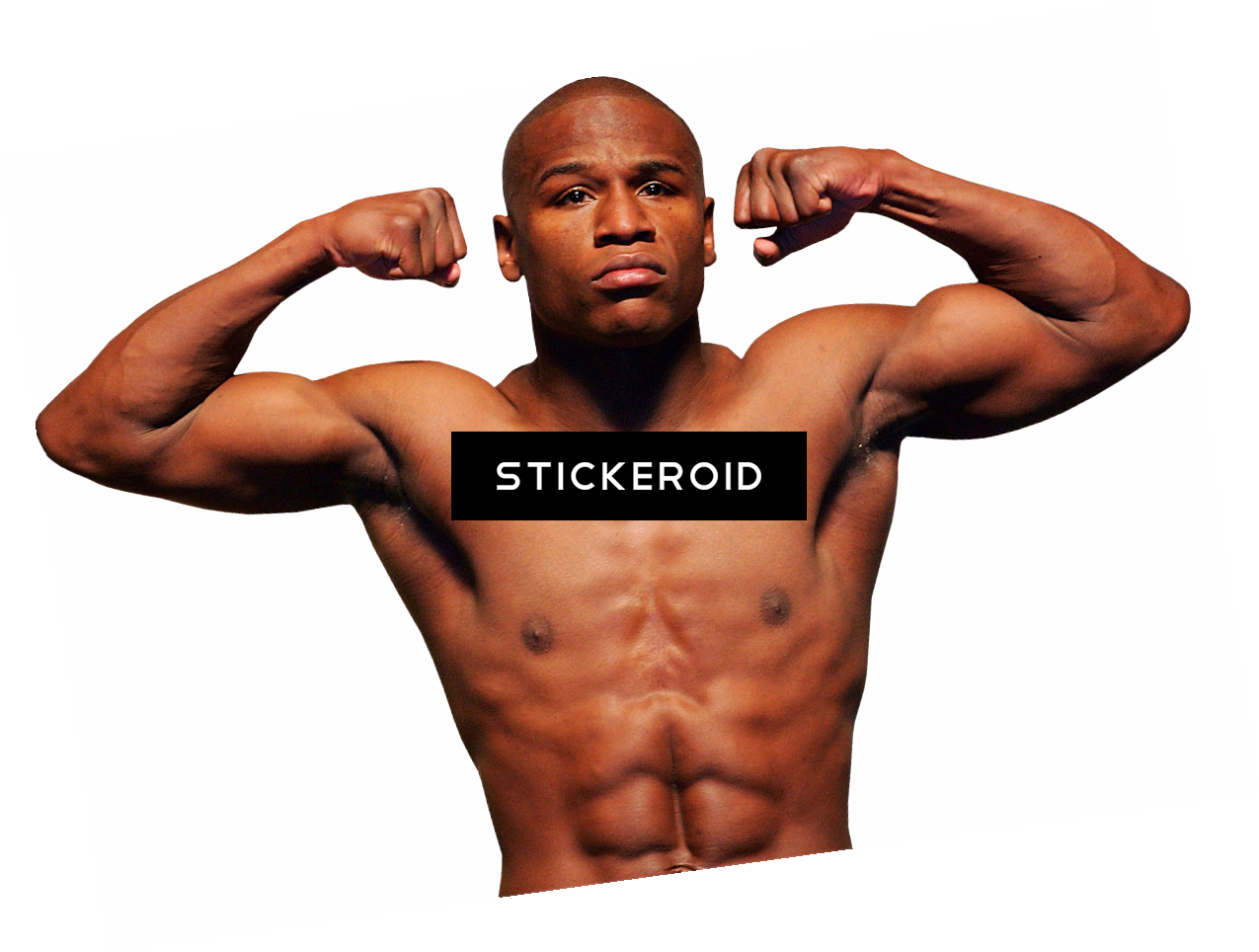 Floyd Mayweather Jr (1275x964), Png Download