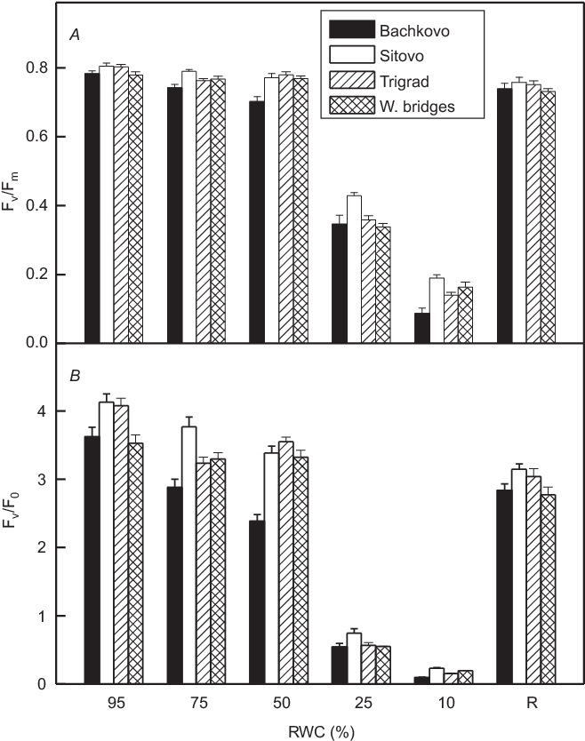 Changes In The Maximum Quantum Yield Of Psii Photochemistry - Commercial Building (658x861), Png Download
