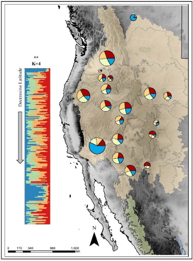 Sampling Sites Of The Hunt Bumble Bee In The Usa/canada - Hunt's Bumblebee (850x899), Png Download