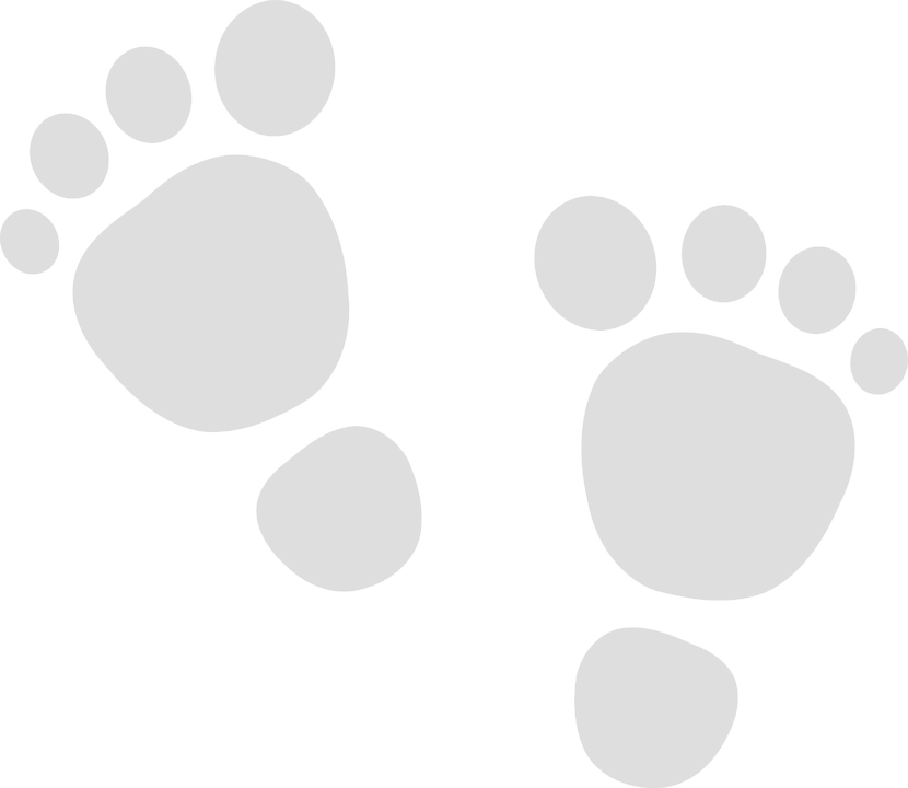 Footprints Clipart (830x720), Png Download