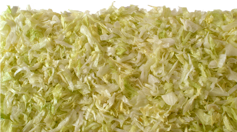 Lettuce Clipart Chopped - Grass (800x533), Png Download