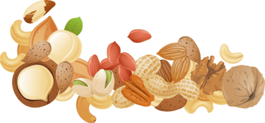 Free Png Nuts Png Images Transparent - Nuts Background (850x397), Png Download