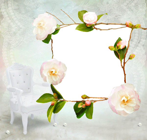 Flores Para Fotografias Borders For Paper, Nature Plants, - Garden Roses (600x571), Png Download