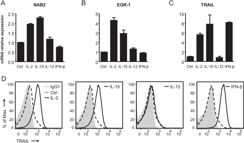 Nab2 And Egr 1 Are Induced In Nk Cells Upon Stimulation - Diagram (850x504), Png Download