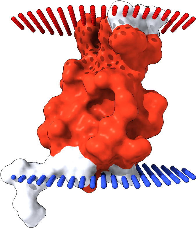 Transmembrane Surface Display Opm - Graphic Design (1000x1000), Png Download