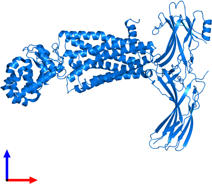 <div Class='caption-body'>pdb Entry 4zwj Contains 1 - Graphic Design (800x800), Png Download