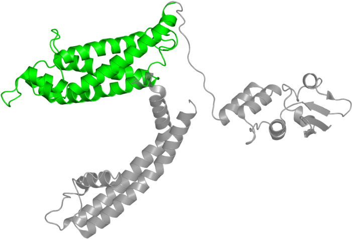 <div Class='caption-body'>1 Copy Of Cath Domain - Illustration (800x800), Png Download