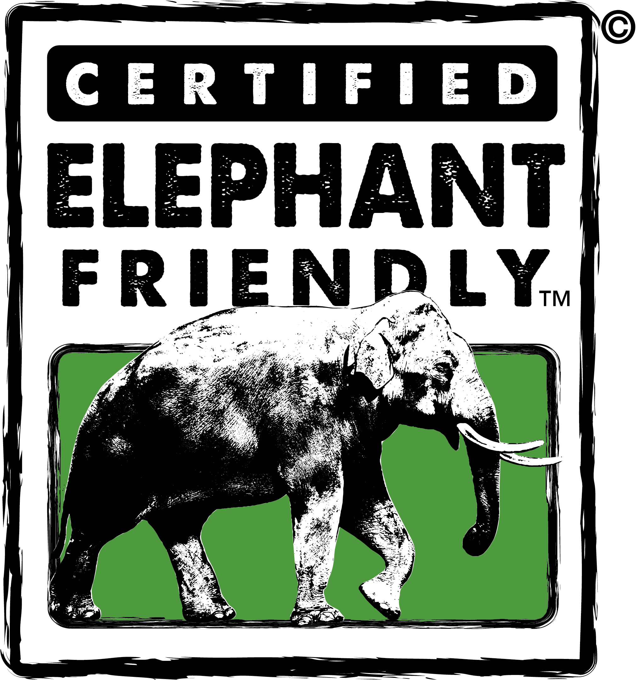 Tea Companies Invited To Join Elephant Conservation - Elephant (2152x2272), Png Download