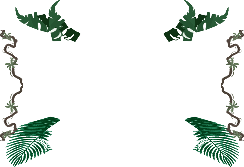 Amazon Fishing Videos - Rainforest Frames (837x573), Png Download