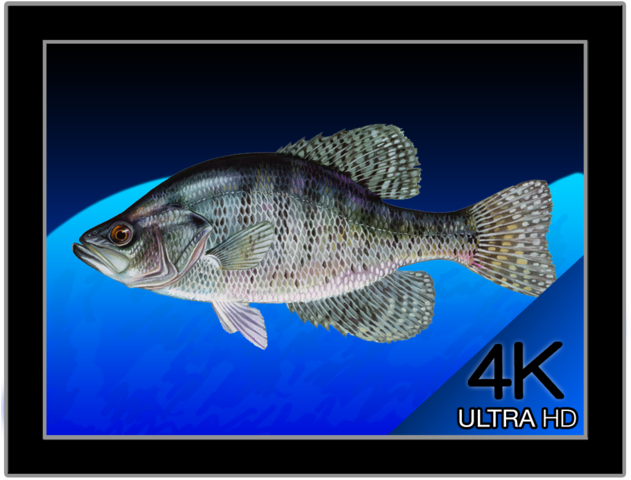 Aquarium 4k Live Wallpaper Mach Software Design - Wallpaper (630x630), Png Download