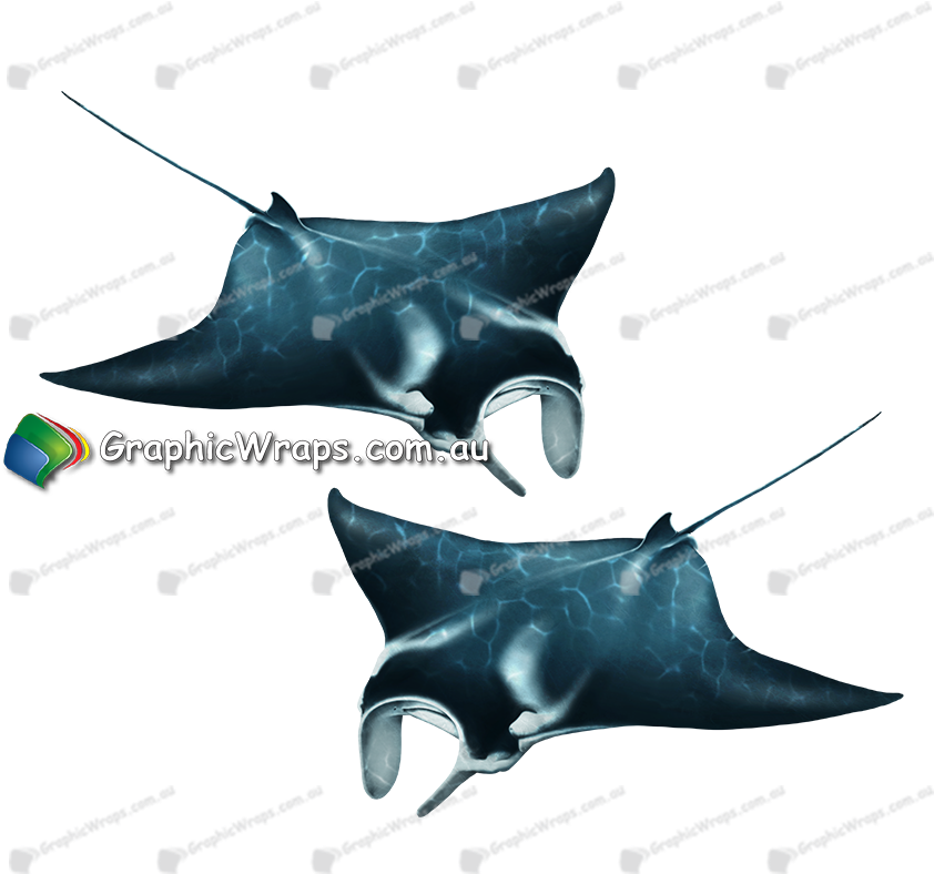 Manta Ray (884x1073), Png Download