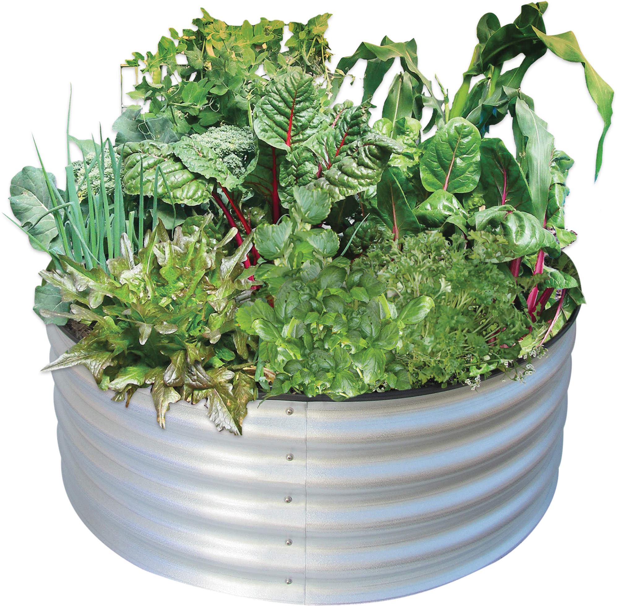 Circular Veggie Patch (2048x2015), Png Download