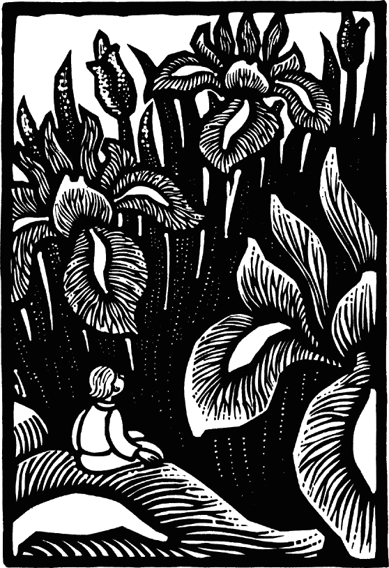 Of Course, Very Few People Go Through The Gate And - Illustration (558x814), Png Download