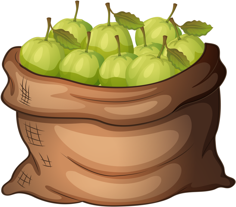 Picture Library Library Png Apples Clip Art And Clipartbarbie - Apple Bag Clip Art (800x711), Png Download