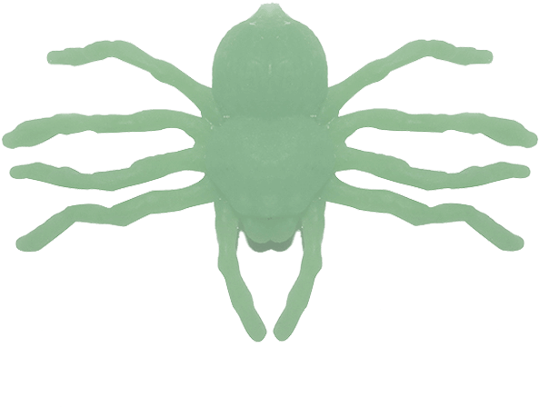 Previous - Next - Wolf Spider (600x600), Png Download