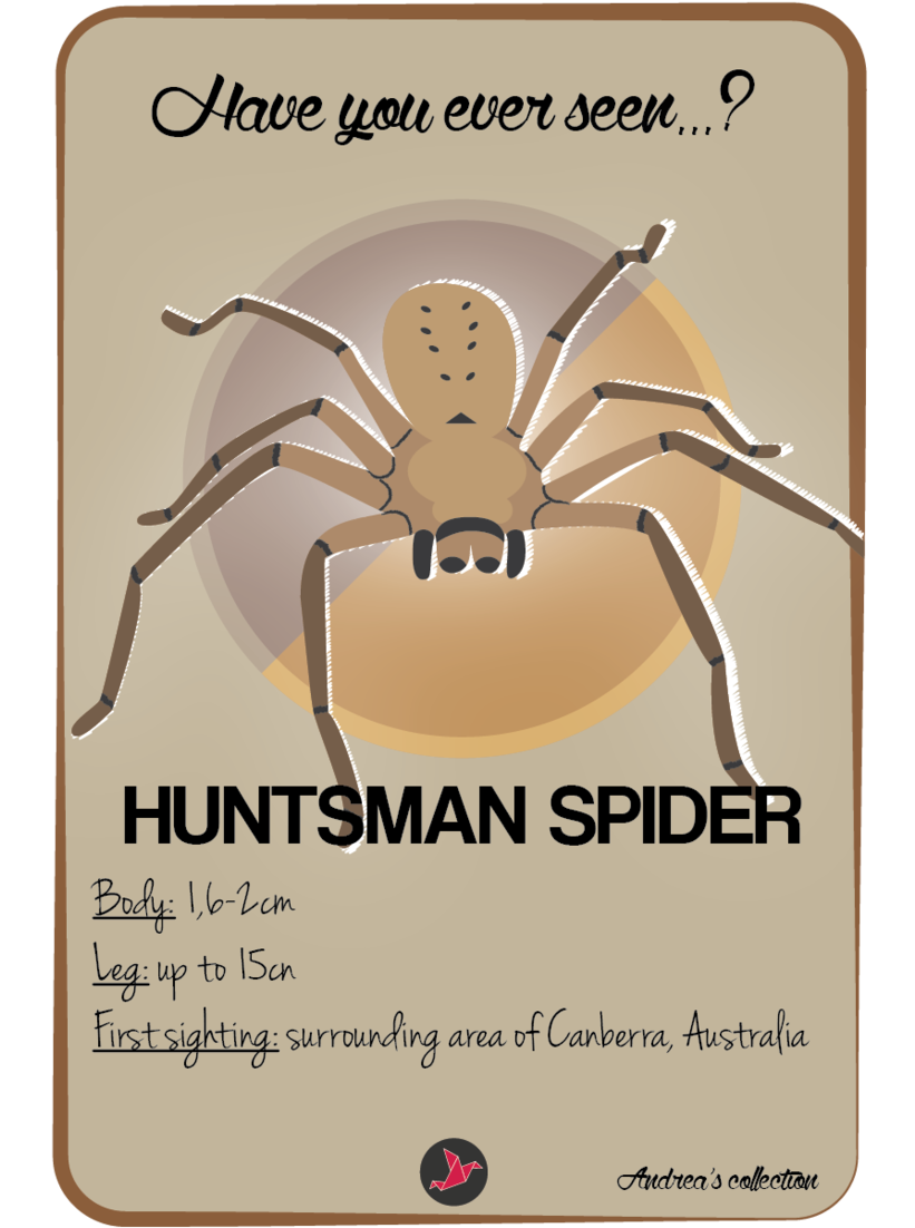 Have You Ever Seen - Man On A Wire (820x1156), Png Download