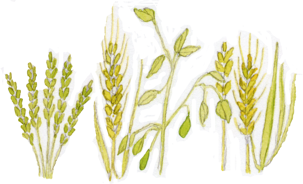 8 - Portable Network Graphics (1000x657), Png Download