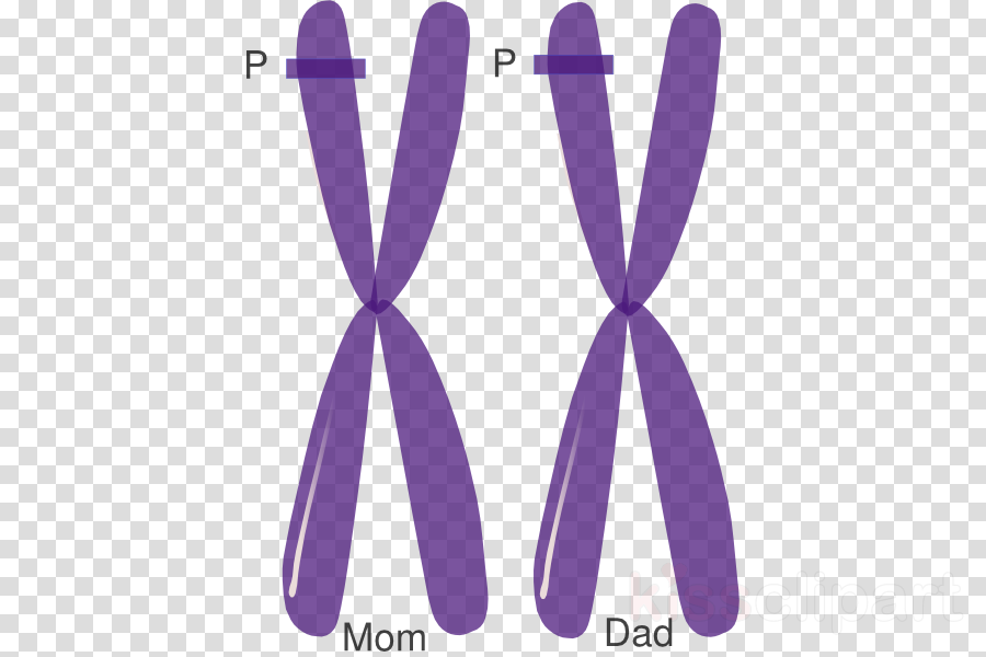 Mercedes Sprinter 2018 Png (900x600), Png Download