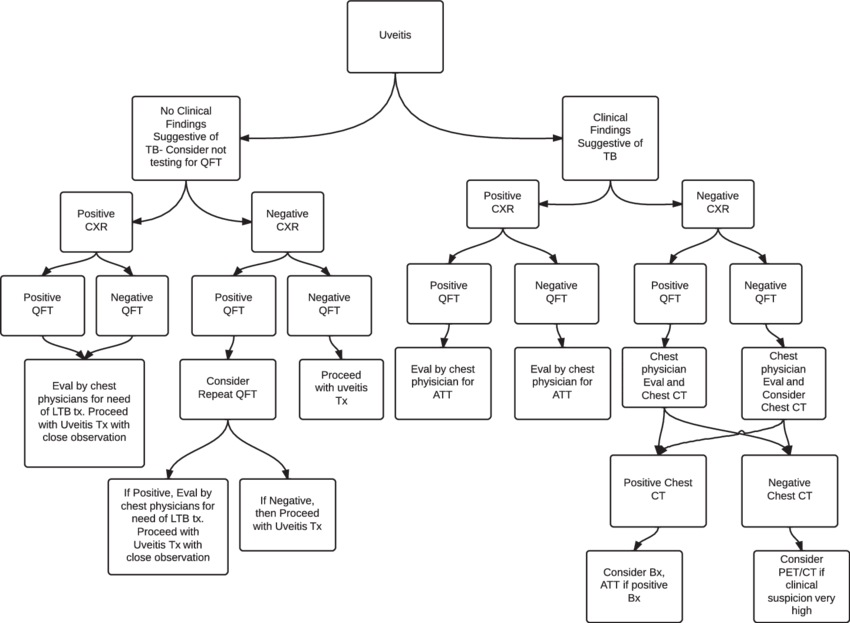Recommended Treatment Algorithm In Patients With Uveitis - Tuberculosis (850x623), Png Download
