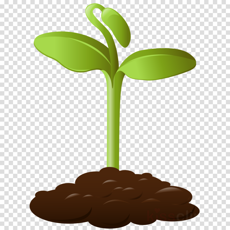 Crops Transparent Background Clipart Crop Clip Art - Crops Clip Art (900x900), Png Download