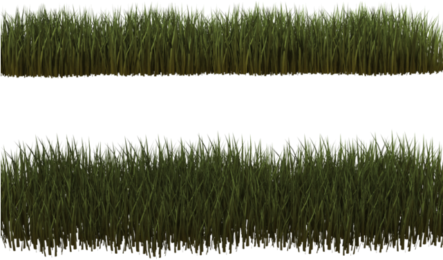 Grass Clipart Transparent Background - Grass Clumps Png (640x480), Png Download