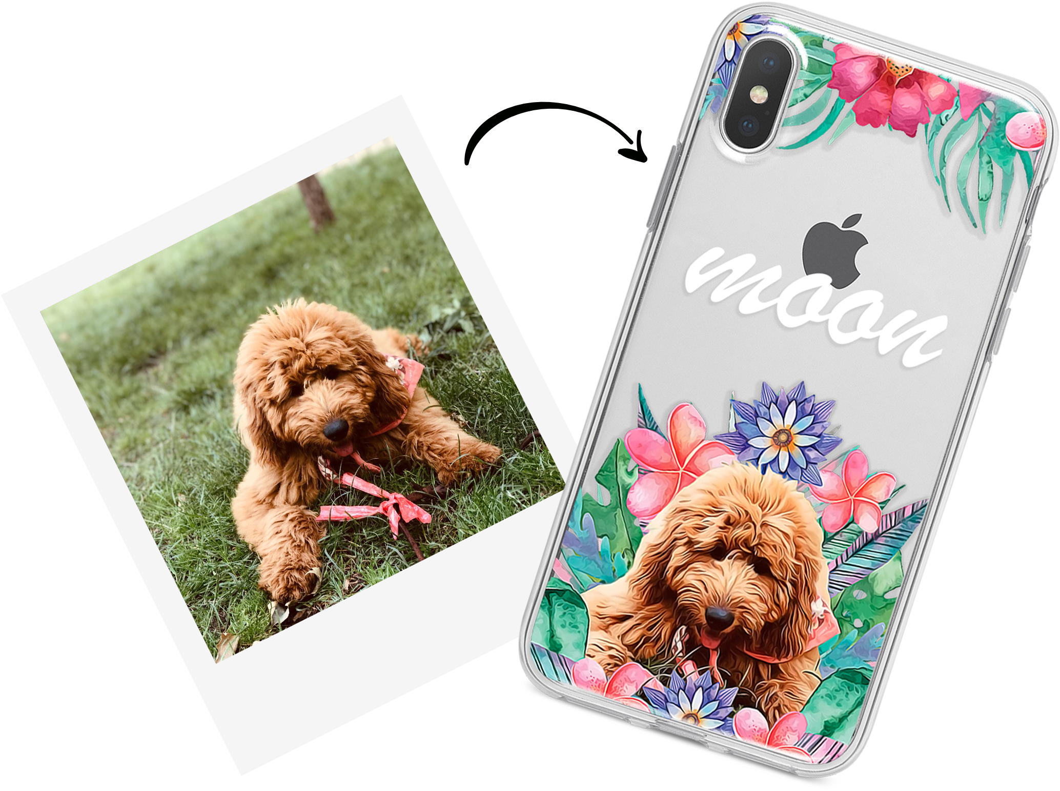 Banner-mascotas - Pet (2253x1699), Png Download